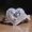 White, variant on Womens Alloy Ring With White Crystal Heart Design Electroplated Fashion Jewelry Accessory With Crystal Sparkle