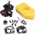 thumbnail image 1 of Carburetor + Air Filter For Briggs & Stratton 795469 794147 699660, 1 of 5