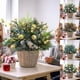 thumbnail image 1 of Decoración de Corona Navideña, Simulación de Espuma, Rama de Fruta, Árbol de Navidad, Accesorios Navideños, Decoración, 1 of 6