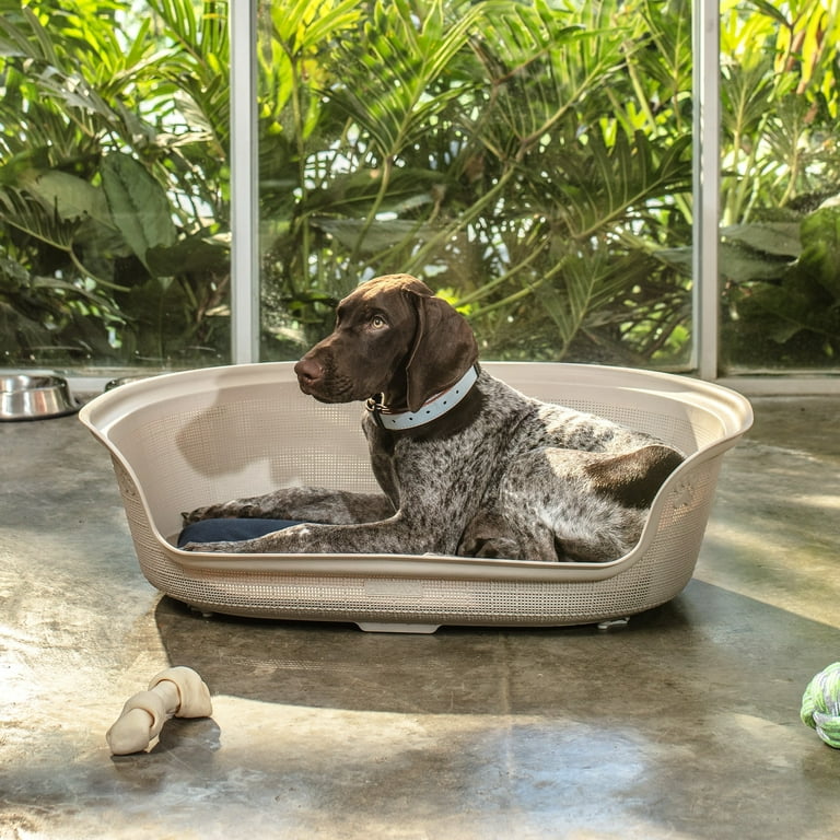 Rimax Dog Bed with Cushion Taupe Walmart