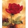 thumbnail image 2 of Skorupska, Patrycja 12x14 White Modern Wood Framed Museum Art Print Titled - The Red Rose, 2 of 4