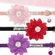 thumbnail image 4 of Collares para gatos JVGPET Breakaway Flower, strass, terciopelo, 4 of 7