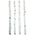 thumbnail image 2 of Four Thin White Birch Poles 4 ft, 2 of 2
