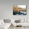 thumbnail image 3 of Trademark Fine Art 'Pheasant' Canvas Art by Rusty Frentner, 3 of 3
