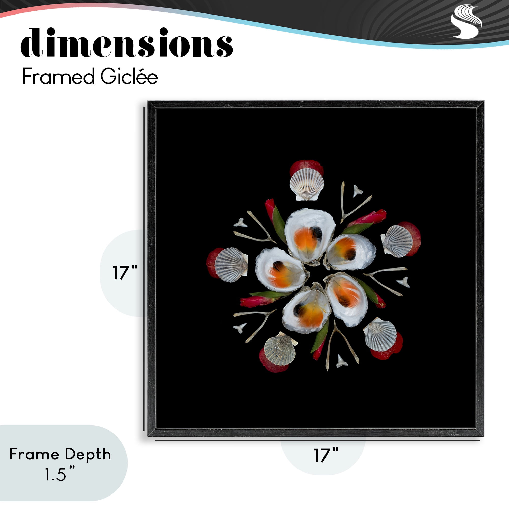 Stupell Industries Nautical Oysters Mandala Black Framed Giclee Art, design by Beth Adoette