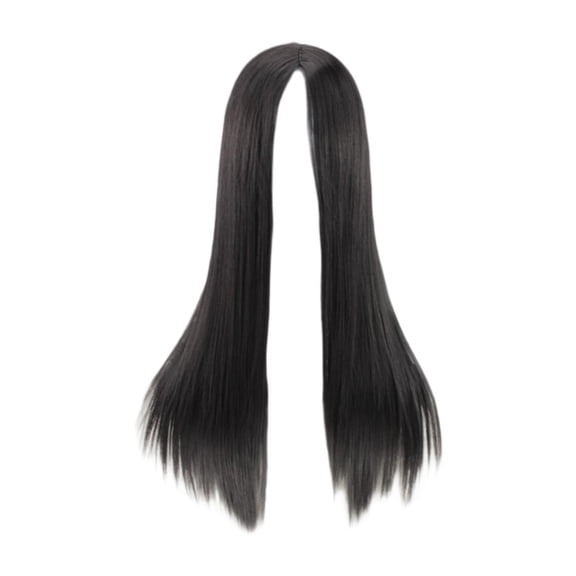 FITYLE Long Straight Black Hair Wig Synthetic Hair Wig Charming,Stylish, Hair Accessory Elegant for Women 70cm for Daily Use Cosplay