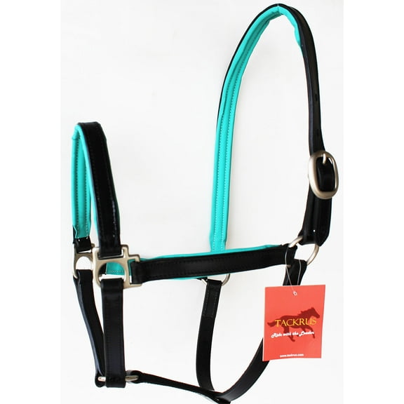 Horse English Padded Leather COB Western Show Halter Turquoise 803209TRC