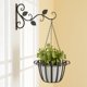 thumbnail image 4 of 5 uds macetas montadas en la pared estante gancho soporte decorativo para plantas (negro) Ndcxsfigh  Para estrenar, 4 of 6