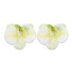 thumbnail image 1 of Ganchos para el cabello de perlas falsas de 2 piezas con clip de pico de pato para mujeres, flores Phalaenopsis en blanco y verde, 1 of 5