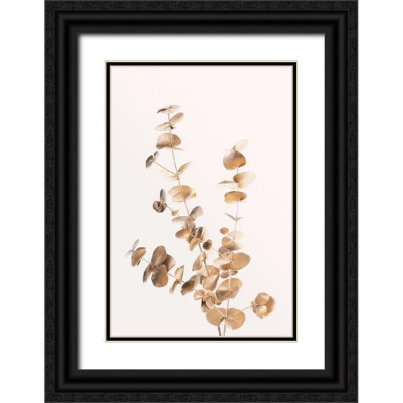 Artographie Studio 17x24 Black Ornate Wood Framed with Double Matting Museum Art Print Titled - Eucalyptus Gold No 04