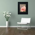 thumbnail image 3 of Trademark Fine Art "Peach Hibiscus" Canvas Art by Color Bakery Black Matte, Black Frame, 3 of 4
