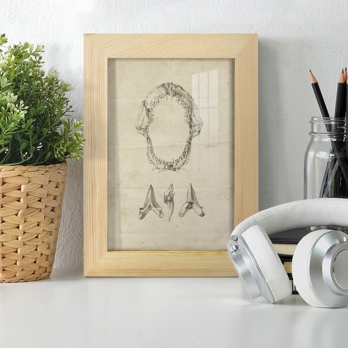 Shark Study I - Framed Print w/glass - Natural Wood