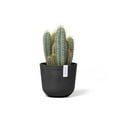 thumbnail image 4 of Ecopots Oslo 8.47" Round Dark Grey Recycled Plastic Flower Pot with Durable indoor/Outdoor Planter, 4 of 4
