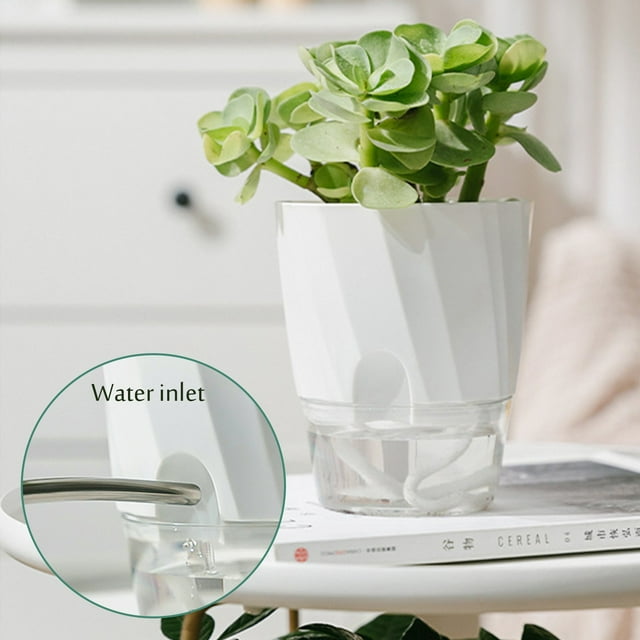 Clear Self Watering Planter Automatic Indoor Pot Square Design for African and Succulents