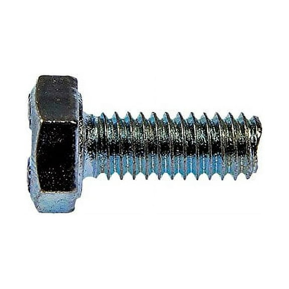 Engine Miscellaneous: Screw Cap; hardware