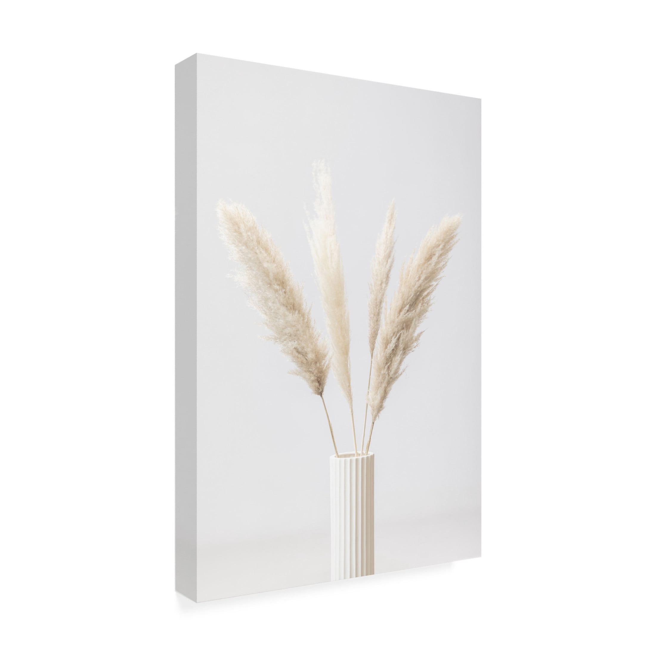 Trademark Fine Art Pictufy Studio Pampas Grass Grey 09 Canvas Wall Art