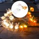thumbnail image 5 of 2x decorativas de Pascua, LED con pilas para dormitorio, fiesta, interior, cumpleaños, boda, decoración del Zulema Luces de hadas, 5 of 8