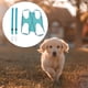 thumbnail image 4 of Hamaca para el cuidado de perros para mascotas, arnés de hamaca suave y transpirable para el cuidado de mascotas con correas y mosquetón para animales pequeños S (azul), 4 of 5
