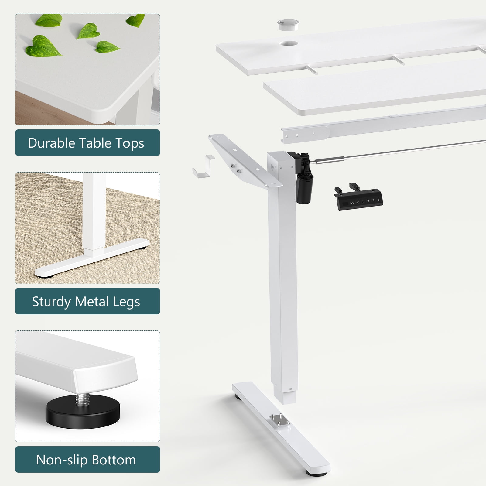 CONCETTA Electric Adjustable Height Standing Desk for a Comfortable Work Setup - 55 x 24 inch Desk Workstation, Oak