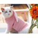 thumbnail image 5 of KAIYANG Sudadera con capucha para mascotas, suéter de punto con orejas de conejo para cachorros, chaleco para mascotas pequeñas (rosa), XS M, 5 of 5
