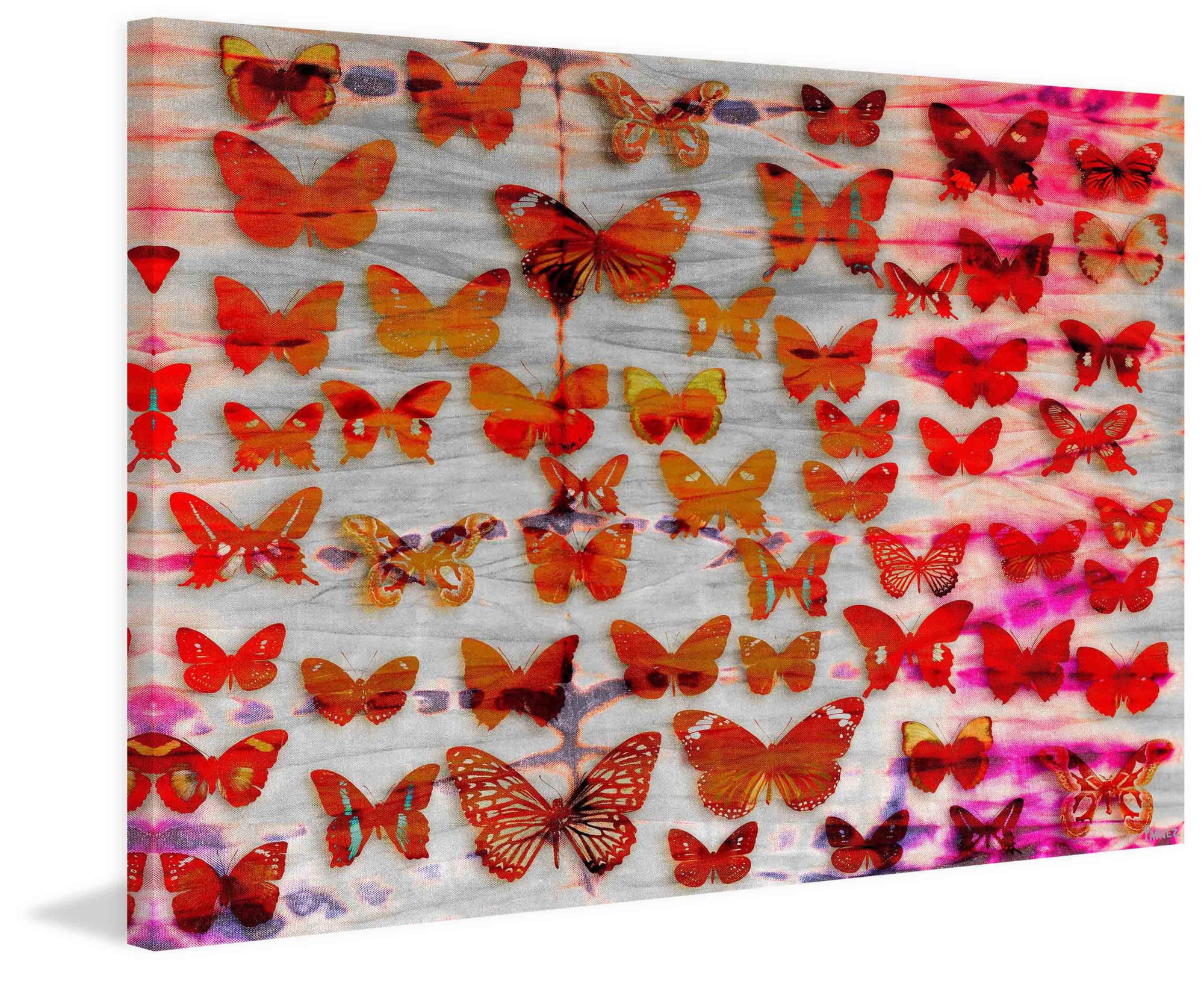 Parvez Taj Moths Art Print on Premium Canvas
