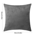 thumbnail image 2 of WHEANG Clearance Decorative Throw Pillow Bundle Set Light Coffee Gradient Silky Velvet With Inserts 22 X 22, 2 of 3