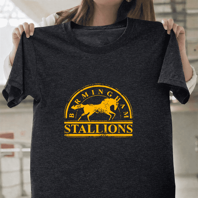 T-Shirt Unisexe Birmingham Stallions Rouge Vintage Rétro USFL Football Sport Fan V60277, jusqu'à la Taille 5TG