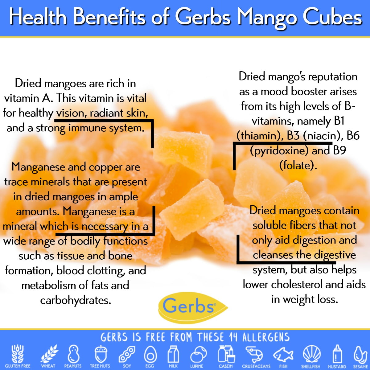 GERBS Dried Mango Cubes 2 lbs | Freshly Dehydrated Resealable Bulk Bag | Top Food Allergy Free | Sulfur Dioxide Free Diced Mangoes | Gluten & Peanut Free
