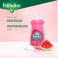 thumbnail image 2 of Palmolive Essential Clean Liquid Dish Soap, Watermelon Scented Dish Detergent, 828 ml Bottle, 2 of 7