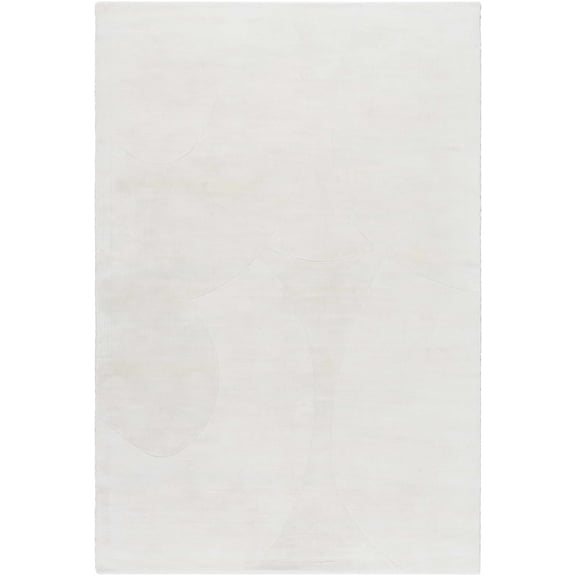 BoutiqueRugs Tryna Contemporary Area Rug - Light Silver - 2' x 3'