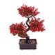 thumbnail image 1 of Bonsai árbol artificial imitación simulación mini maceta flor verde escritorio interior verde decorativo, 1 of 5