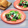 thumbnail image 3 of GHSDFBB 10 Inch Plastic Plates, Large Plates, Dinner Plates, Set of 9 (Peach), 3 of 4