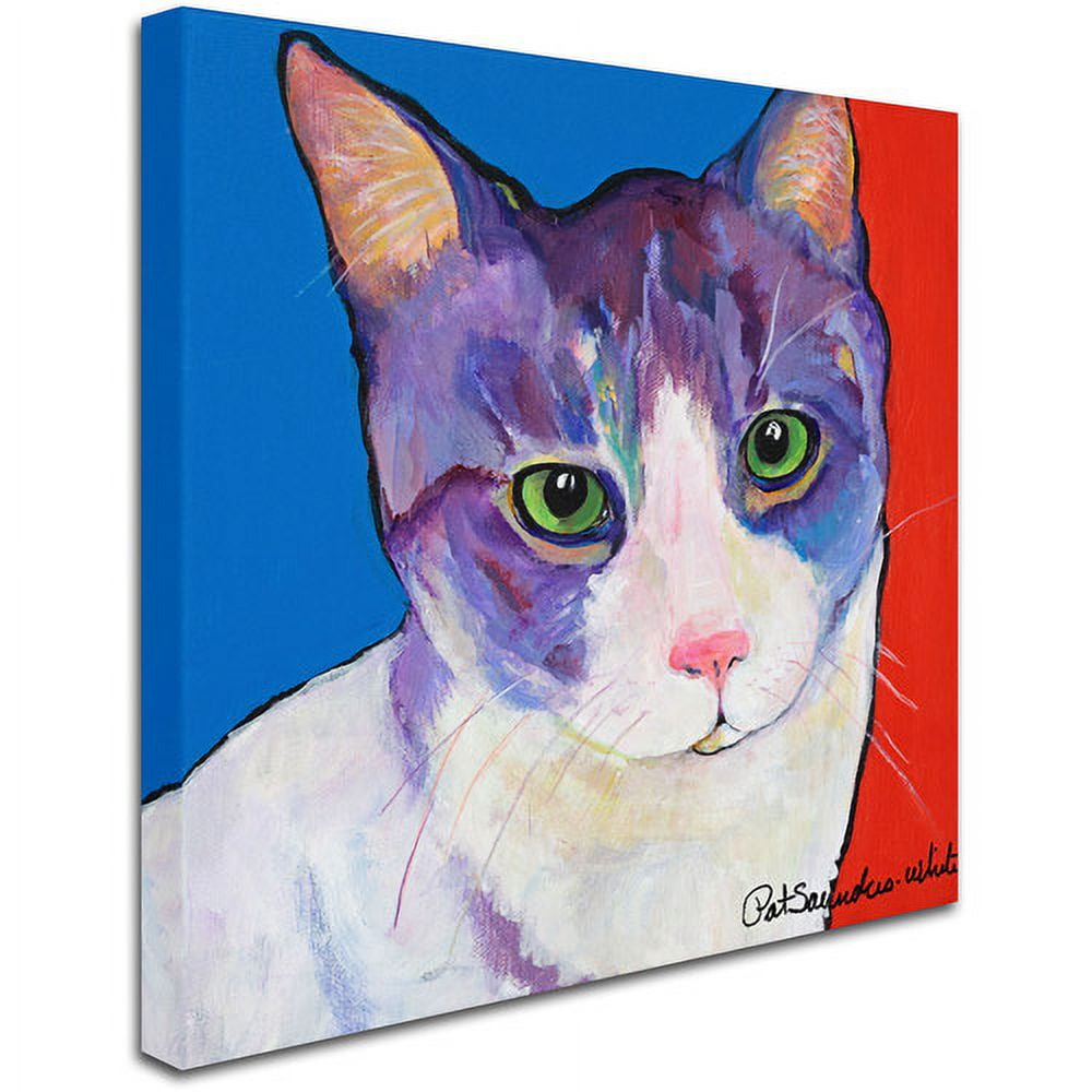 Trademark Fine Art "Nugget" Canvas Art by Pat Saunders-White