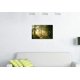 thumbnail image 4 of Decoración mural de temática forestal, con pinturas artísticas en lienzo de estilo natural y moderno, impresiones sobre lienzo con paisajes primaverales envueltos en neblina matutina., 4 of 6