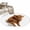 Brown, variant on Funny Pig Area Rugs Collection 2'x3', Cute Art Fun Lovely Animals on Toilets Non Slip Indoor Rectangle Throw Runner Rug Floor Mat Carpet for Living Room Dining Table Bedroom Nursery