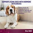 thumbnail image 4 of Pet MD Bladder Support Plus Cranberry for Dogs - Support Bladder Control & Urinary Tract Health - Help Relieve Dog UTI & Incontinence - Wild Yam Root & Cranberry Bladder Bites for Dogs - 60 ct, 4 of 9