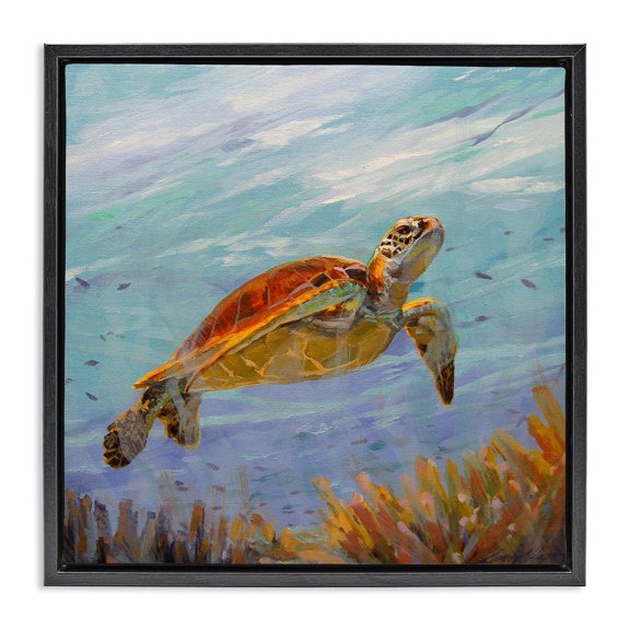 Stupell Industries Coastal Turtle Among Coral Reef Black Floating Frame Canvas Art, 18 x 18, by Sandy Nelson