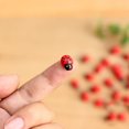 thumbnail image 2 of 100pcs Crafts Mini Simulation Miniature Multi-use Gift Decorations Fairy Terrarium Decoration Xmas Garden Pots Craft Self-Assembly, 2 of 9
