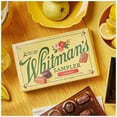 thumbnail image 4 of Whitman's Sampler Gift Box Assorted Milk & Dark Chocolate, 10.0 OZ Pack of 2, 4 of 5