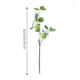 thumbnail image 3 of Artificial Lemon Tree Branch Bouquet | Realistic Faux Lemon Leaves and Fruit Decor | Spring Home Decor for Tabletop Vase Arrangements | 20.47 Inch Artificial Greenery for Centerpiece and Wed, 3 of 6