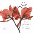 thumbnail image 2 of Koetsier, Albert 12x12 Black Ornate Wood Framed with Double Matting Museum Art Print Titled - Royal Red Orchid - Love Again, 2 of 4