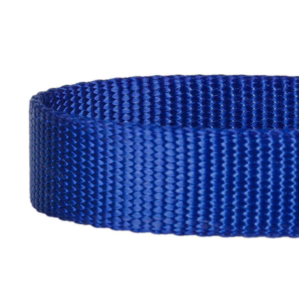 Blueberry Pet Classic Nylon Adjustable Dog Collar Made for Last, Royal Blue, Medium, Neck 14.5"-20"