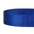thumbnail image 4 of Blueberry Pet Classic Nylon Adjustable Dog Collar Made for Last, Royal Blue, Medium, Neck 14.5"-20", 4 of 5
