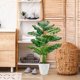 thumbnail image 5 of Planta artificial Der Rose Monstera de 70 cm con maceta blanca, 5 of 7