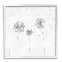 Stupell Industries Dandelion Florals Flying Seeds Flower Line Art Drawing,17 x 17, Design by Cloverfield & Co.