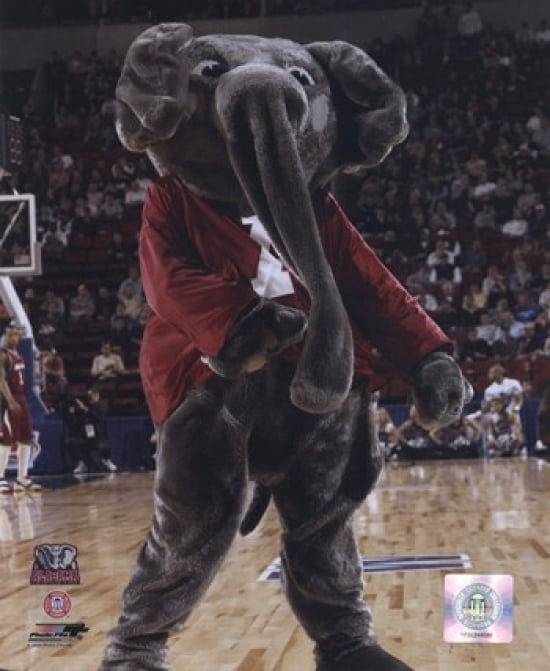 what is a crimson tide elephant what is a crimson tide elephant