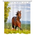 thumbnail image 2 of Western Country Horse Shower Curtain Decor, Green Grass and Brown Horse on Blue Sky Background Shower Curtains for Bathroom 60X72 inch Polyester Fabric Bathroom Decoration Bath Curtains Hooks Included, 2 of 6