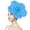 Light Blue, variant on Large Flower Headwear Fascinators Hat Tea Party Hats for Women Cocktail Headband for Wedding