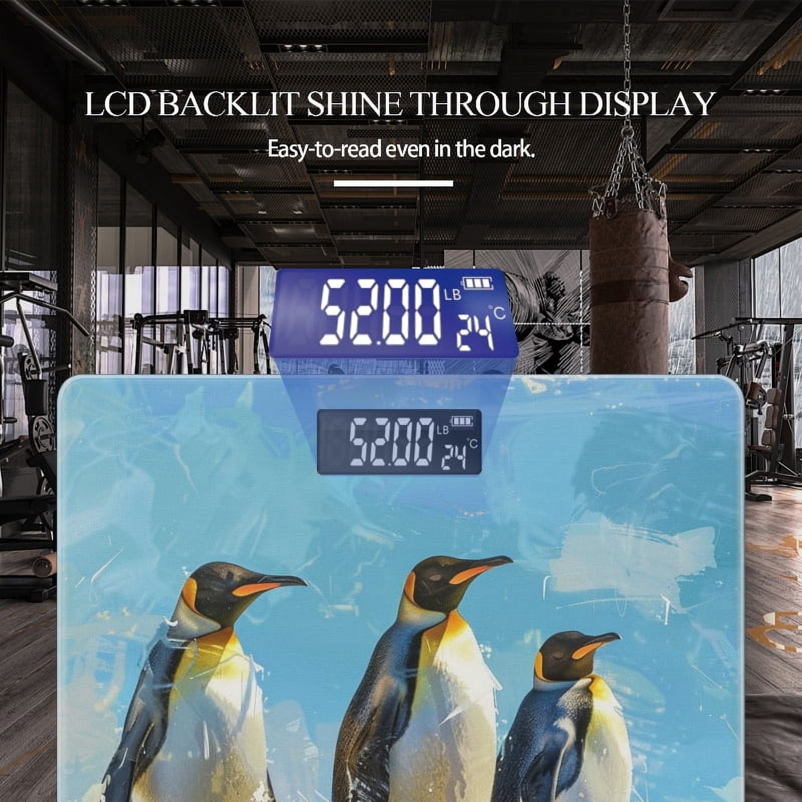 Bathroom Scale, Highly Accurate Digital Body Scale,Precisely Measures Weight up to 400 lbs-Penguins Standing On The Ice With Light Blue Background