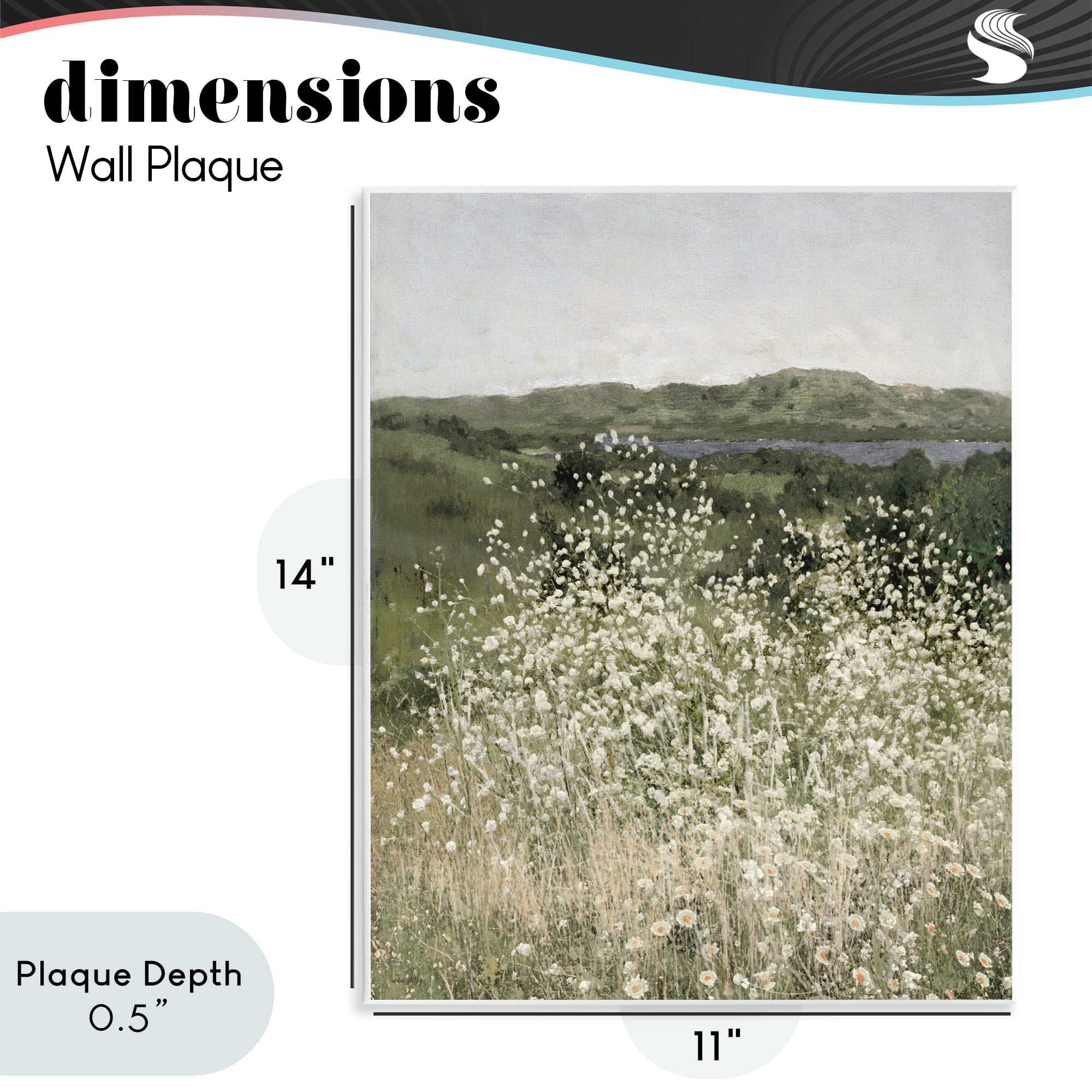 Stupell Industries Sunlit Meadow of White Daisies Wall Plaque Art, design by Amber Sterling